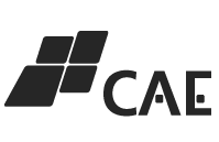CAE systems